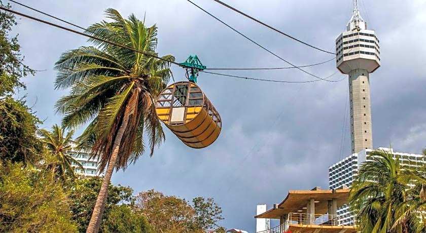 Sea Falcon on the Water
