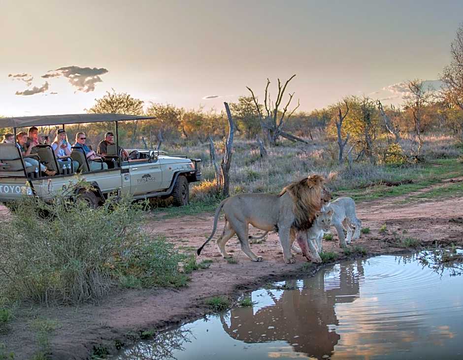 Tuningi Safari Lodge