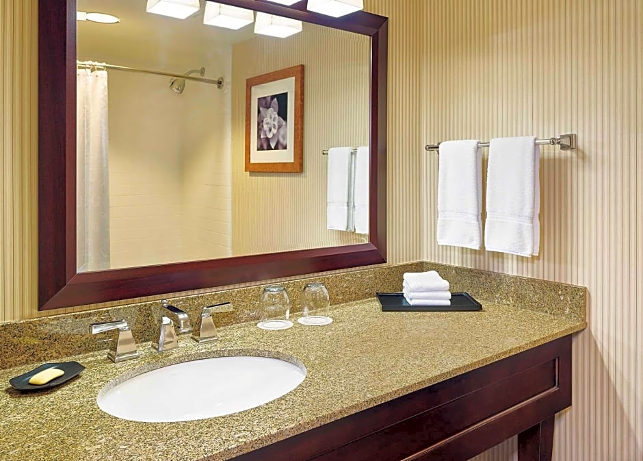 Blue Ridge Hotel and Conference Center – Roanoke, VA