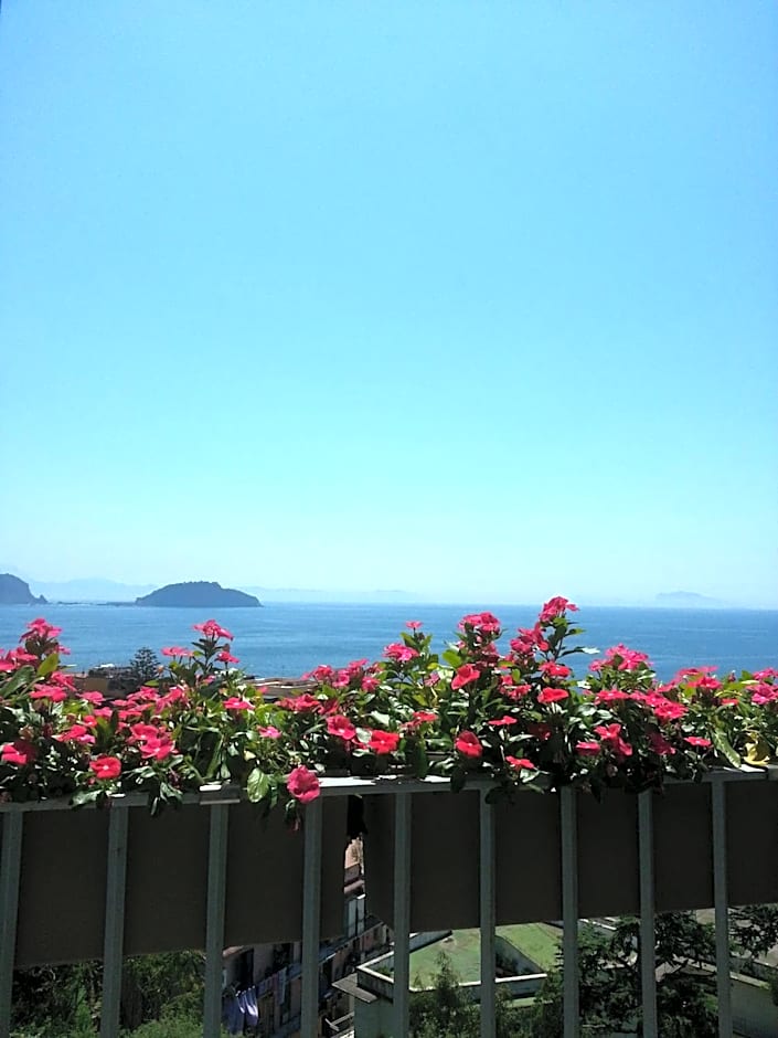 Villa Avellino Historic Residence