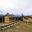 Cabana doi mesteceni