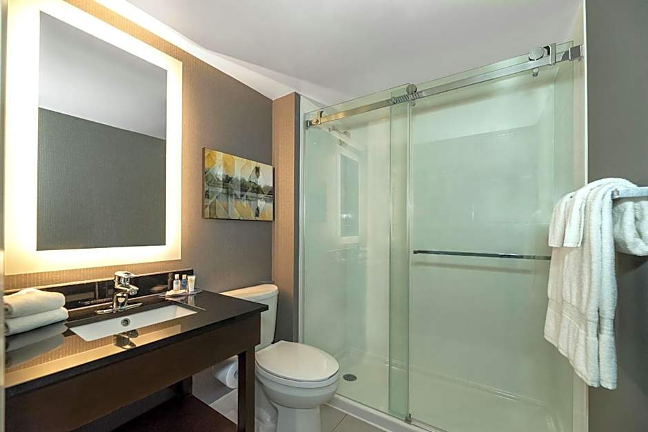 Comfort Inn Hamilton