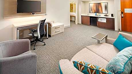 One-Bedroom King Suite with Sofa Bed - Non-Smoking