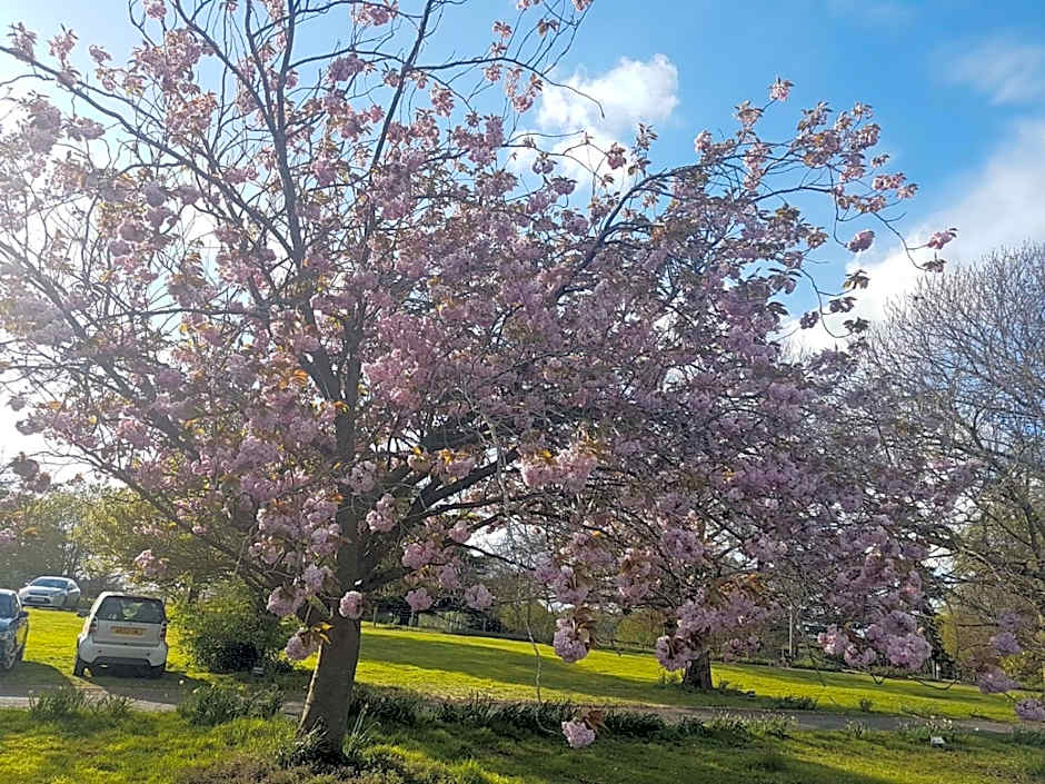 The Judds Folly Hotel, Sure Hotel Collection by Best Western