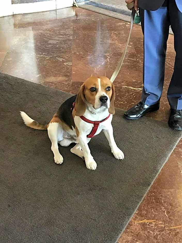 Hotel Tres Reyes Pamplona