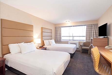 Standard Room, 2 Double Beds, Kitchen