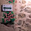 Agritur Maso Ciprianna B&B