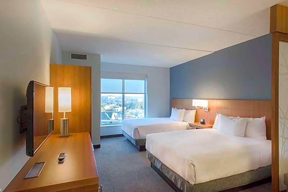 DoubleTree by Hilton Asheville Downtown