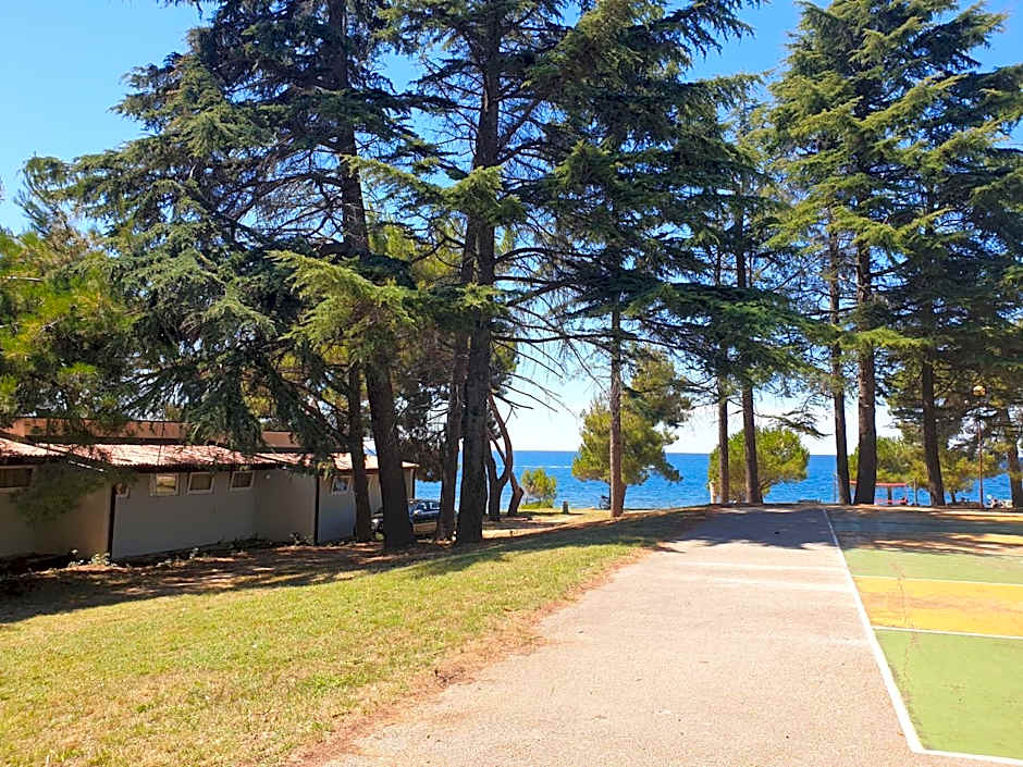 Family Bungalow Pineta