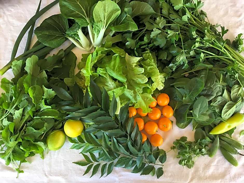 The Retreat at Froog Moore Park