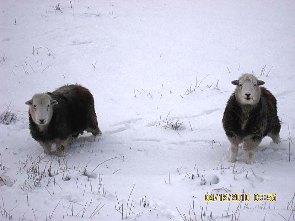 The Langstrath Country Inn