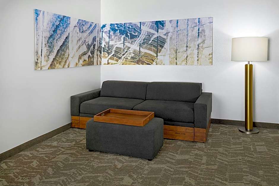 SpringHill Suites by Marriott Detroit Metro Airport Romulus