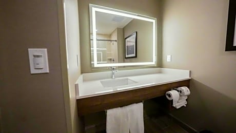 2 Queen Beds Mobility Accessible Room  Roll-In Shower Non-Smoking