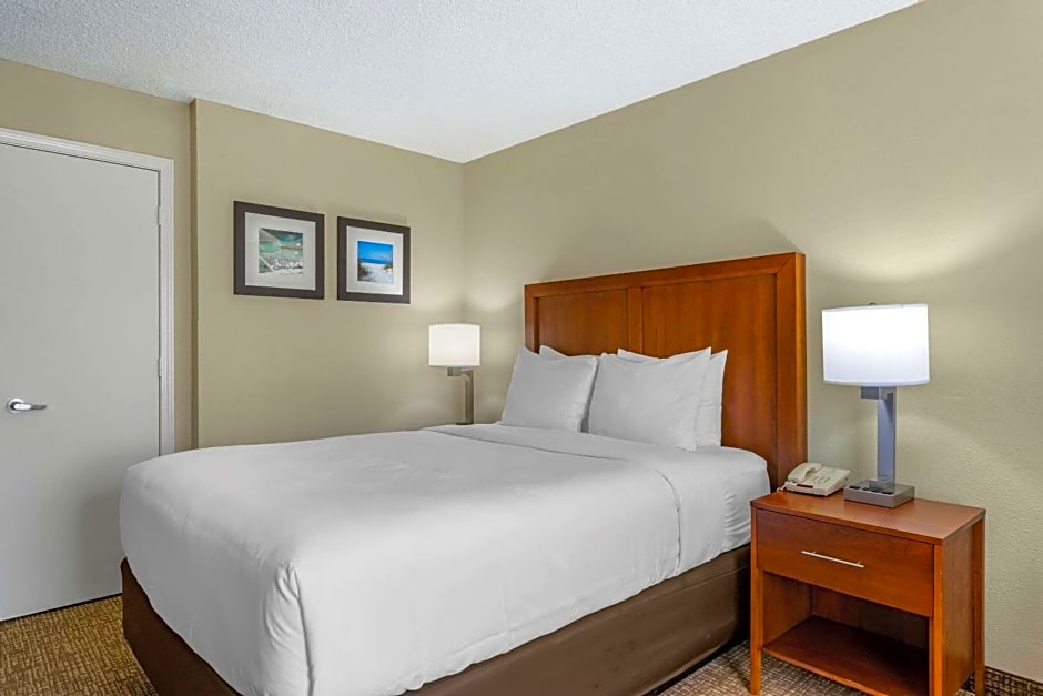 Comfort Inn & Suites St Pete - Clearwater International Airport