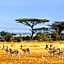 Africa Safari Selous Nyerere national park