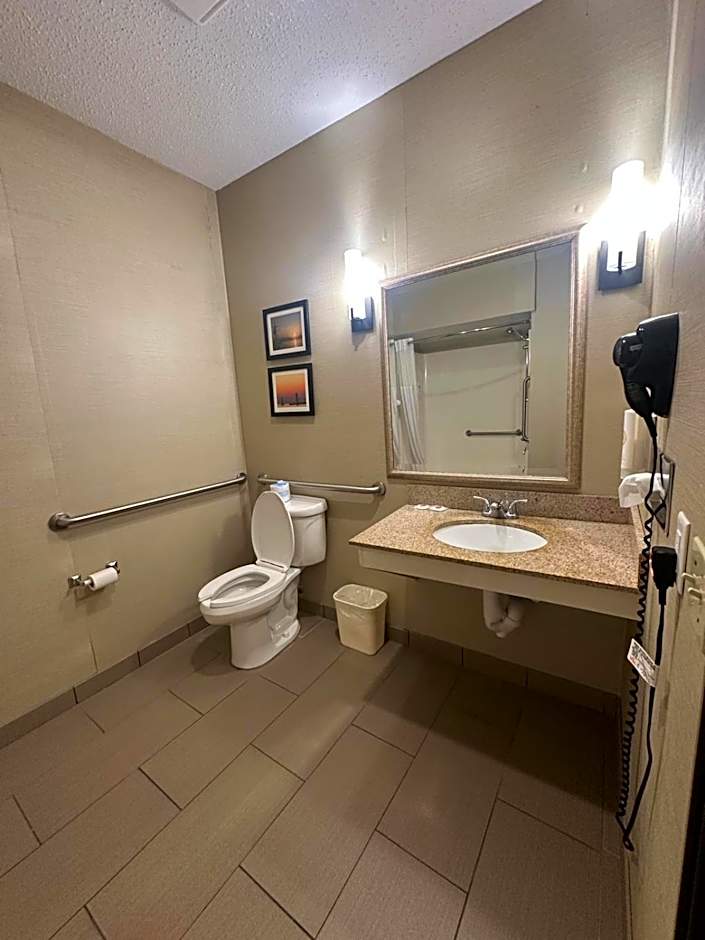Comfort Suites South Haven Near I-96
