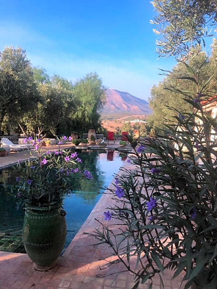 Sel d Ailleurs, Ouirgan - adults only