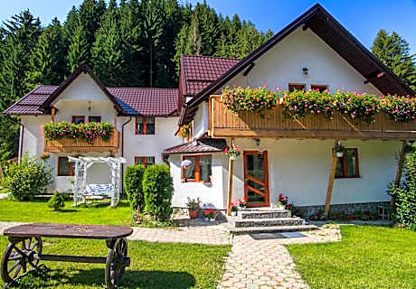 Complex Turistic Luminita