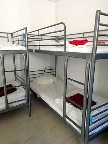 Bunk Bed in 8-Bed in Mixed Dormitory Room