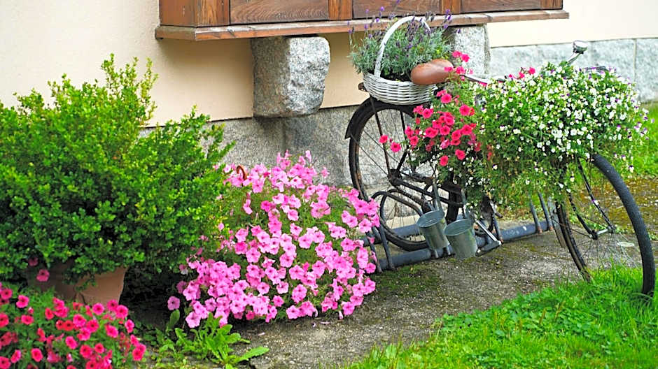 Margo Bukowiec koło Karpacza