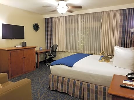 Interior King Room