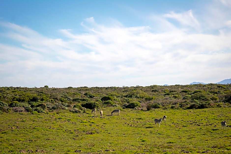 Romansbaai Moksha on the Sea