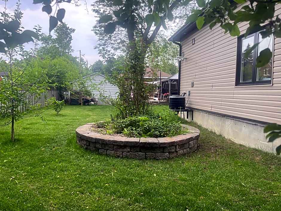 The Grassy Oasis