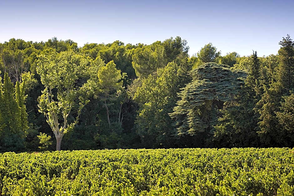 Domaine de Fontenille