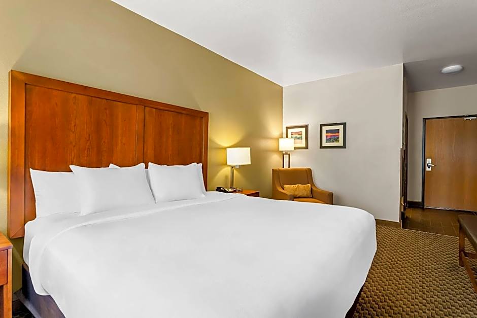 Comfort Inn & Suites Midtown