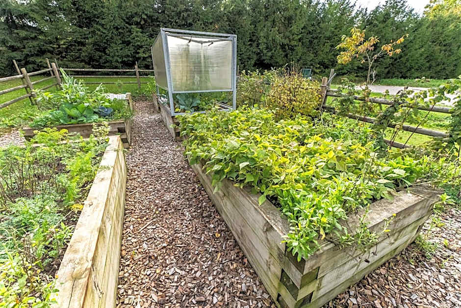 Korošec Apartments and Wellness Centre