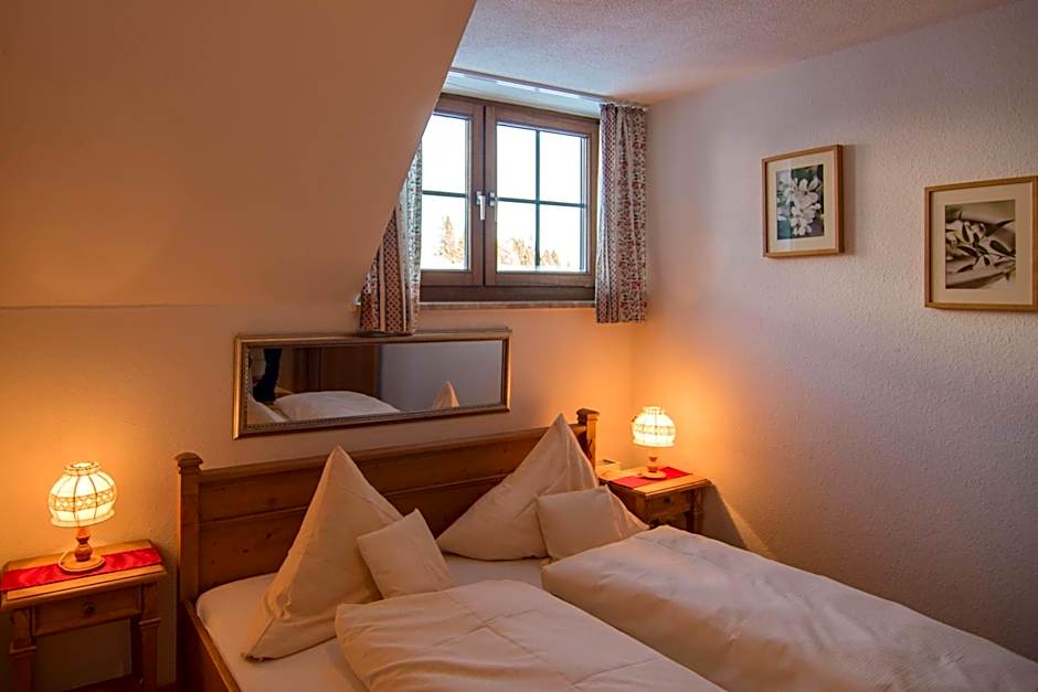 Hotel & Restaurant Grüner Baum - Die Grüne Oase Am Feldberg