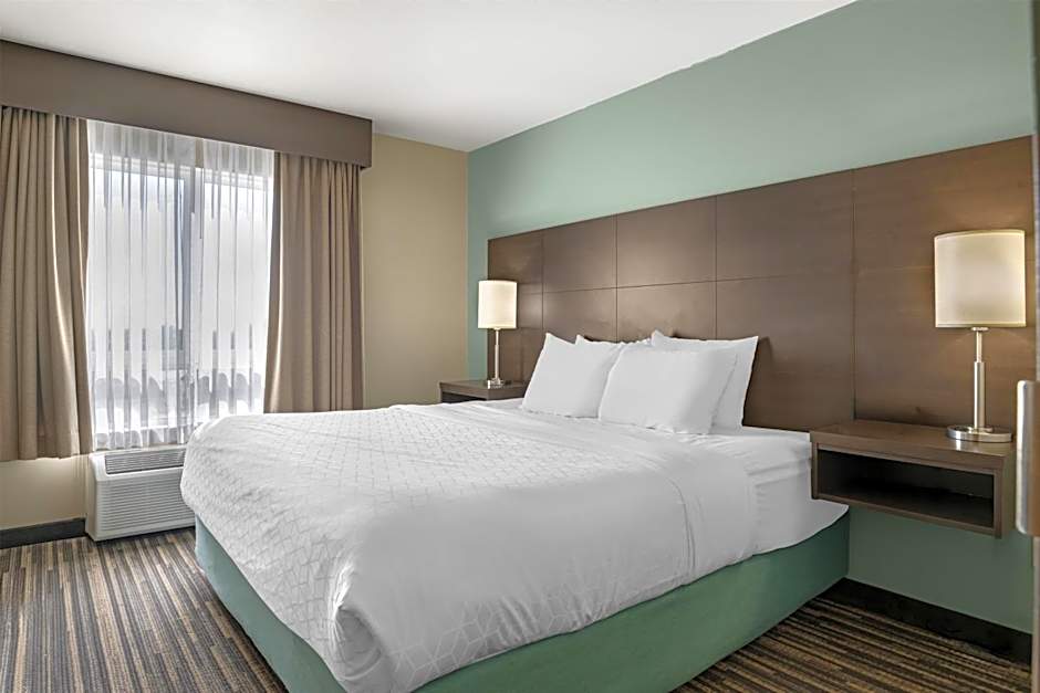 Best Western Plus Dartmouth Hotel & Suites