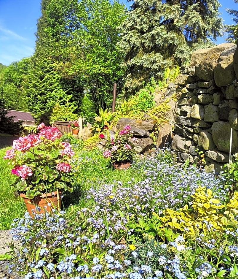 Bed and Breakfast Tvrz