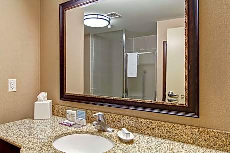 1 King Bed Nonsmoking