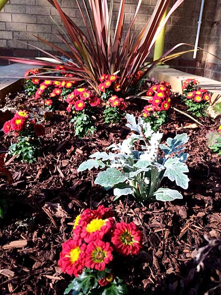 Pelican London Hotel And Residence