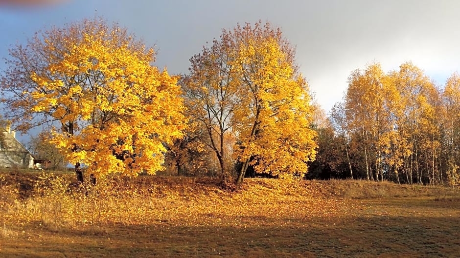 Samodzielny Dom Przy Lesie
