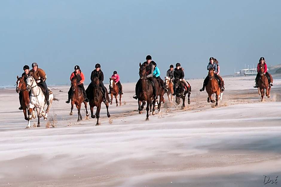Strandhotel de Vassy