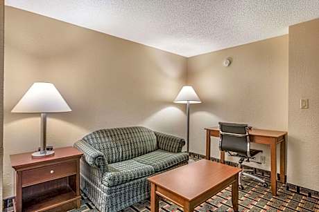 1 King Bed, Suite, Nonsmoking