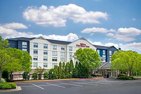 Hilton Garden Inn Atlanta Northpoint