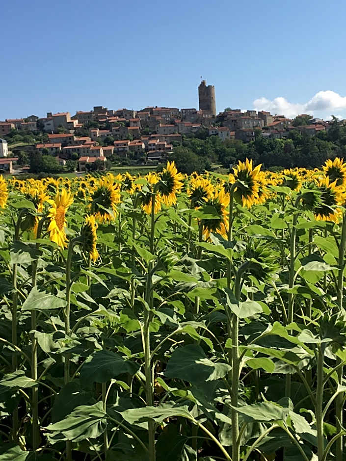 La Charmeraie