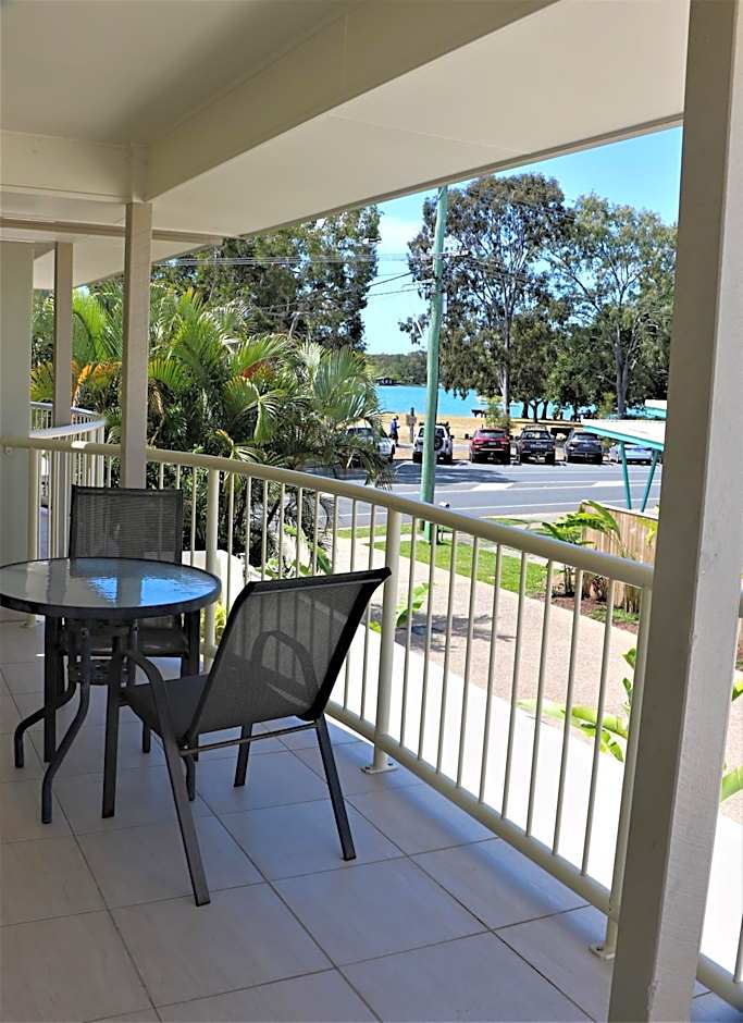 Noosa River Palms