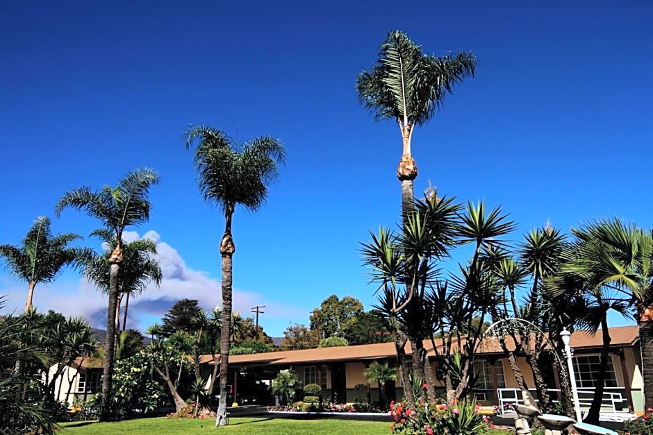 Palm Tropics Motel