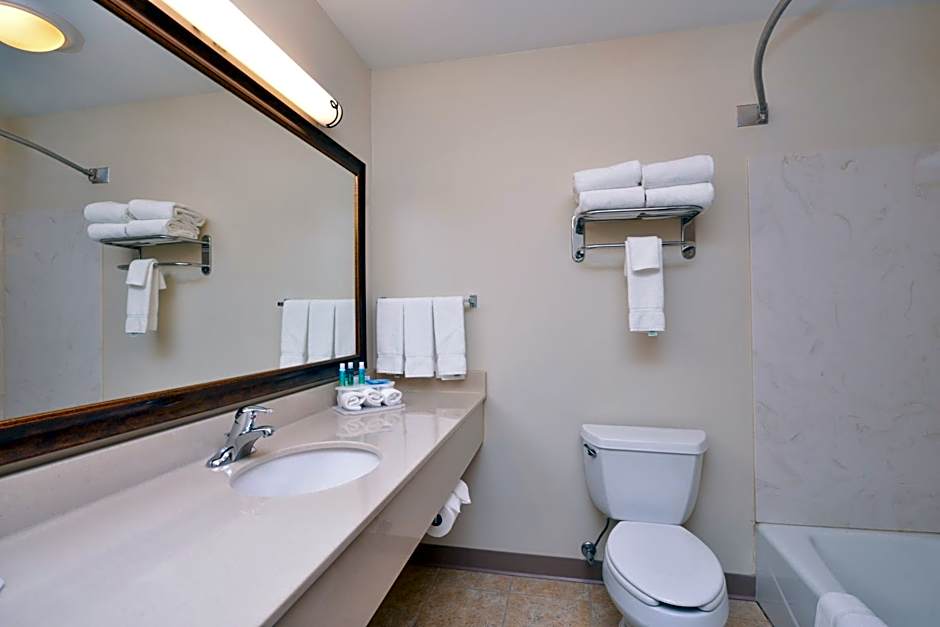 Holiday Inn Express Hotel & Suites Sioux Falls At Empire Mall By IHG