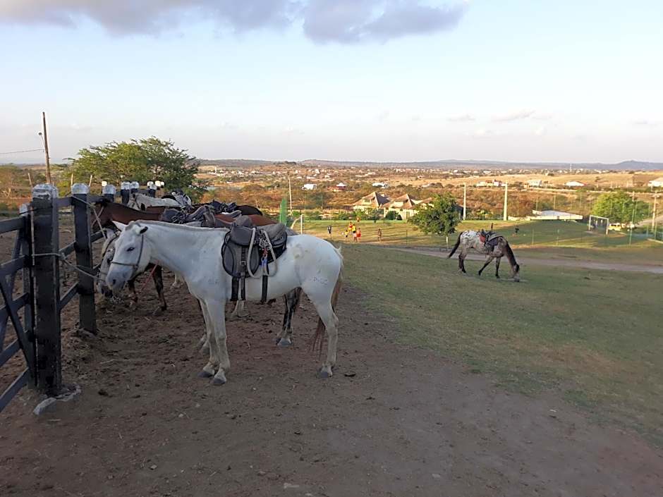 Flat Monte Castelo Gravatá Módulo 17
