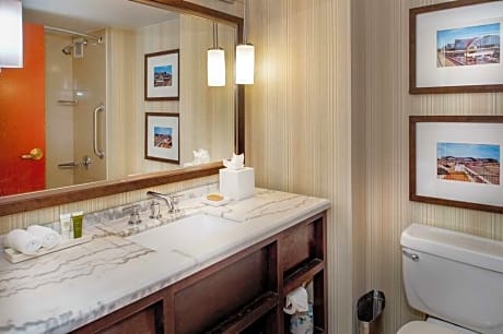 1 King 1 Bedroom Presidental Suite