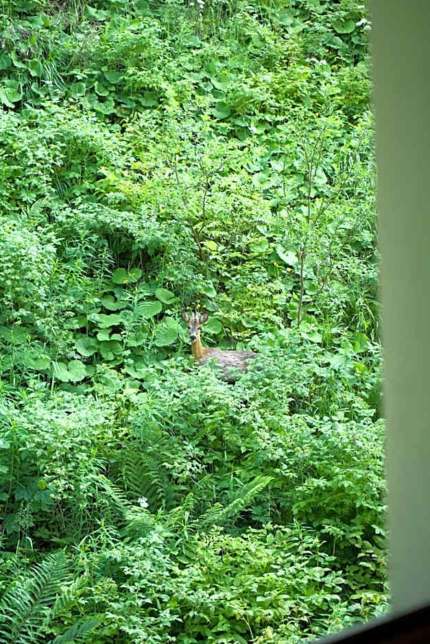 HOTEL TERME di RABBI