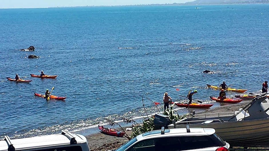 Kapiti Waves Bed & Breakfast