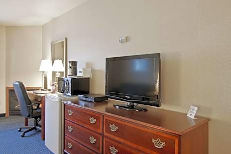 1 Queen Bed Non-Smoking