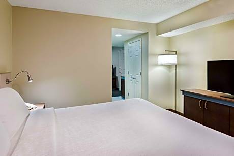 Junior King Suite with Sofa Bed
