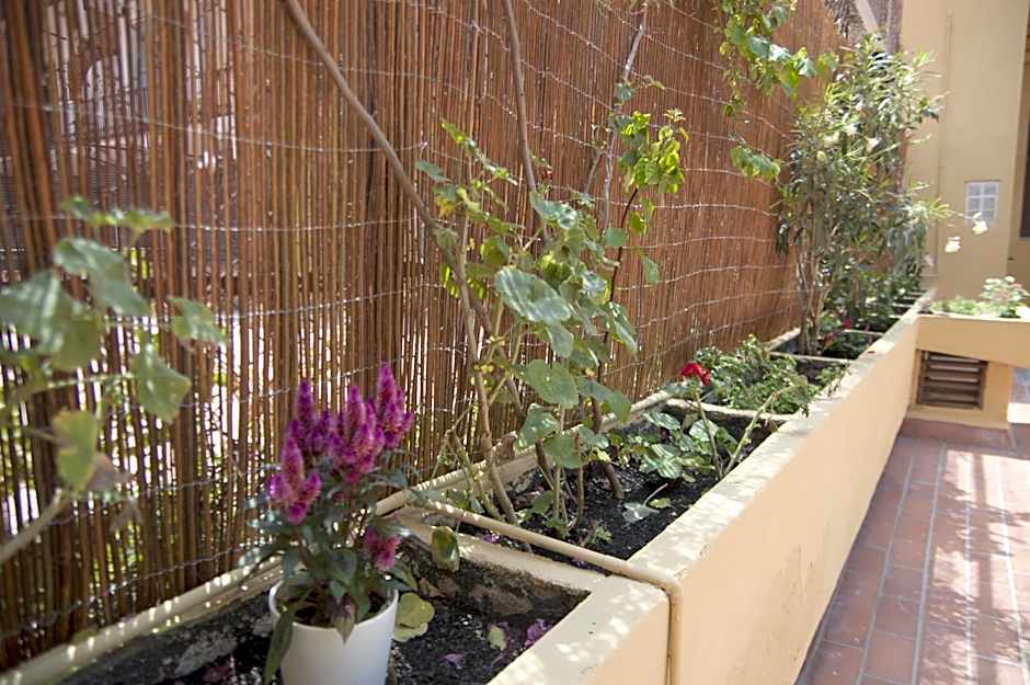 BCN Home Guest House
